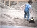 Champ Digging a Hole