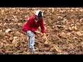 Planting Peanuts 🥜