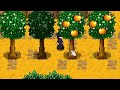 Today I Learned: Stardew Valley | 86 Tips and Things You May Not Know
