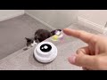 Cat Toy: Interactive Automatic ‣ My cat loves it 😍【Review107】