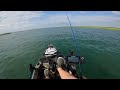 Flounder Frenzy Kayak Style #fishing #viral #flounder #fluke #epic #fishingvideo