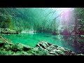 Gentle healing music for health and calming the nervous system, deep relaxation #54