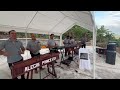 Frijolitos Pintos - cover Marimba Alegre Princesita (en vivo)