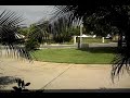 Time lapse of my front yard