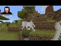 Minecraft: Armadillos and Wolf Armor