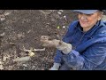 MUDLARKING LUCKY FINDS