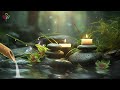 Bird Chirping & Bamboo Water Fountain 🌿Music helps sleep well, Spa music, Meditation music