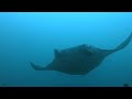 Divemaster Training & Scuba Diving with Manta Rays  Nusa Lembongan, Bali, Indonesia (Part 1)