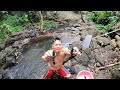 Catch Freshwater PRAWS in Hawaii barehand