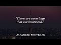 Common Japanese Proverbs And Sayings | Popular Japanese Quotes and Aphorisms