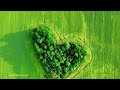 Healing Piano Music For The Heart And Blood Vessels 🌿 Calms The Nervous System And Pleases The S...