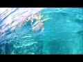 Paradisus rio de oro  snorkelling at the 