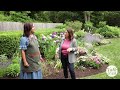 How to Create Colorful Flower Borders🌷🌼 | Talk & Tour with Cape Cottage Garden #gardentour