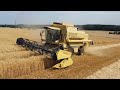 Moisson de l'orge : New Holland TX68 plus 🌾