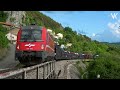 Rail action in Koper line. Trains in Slovenia 2024