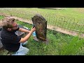 CLEANING 140 YEARS OF DIRT AND GRIME OFF OLD GRAVES | INCREDIBLE TRANSFORMATION | D/2 CLEANER