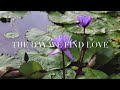 The Day we find Love - 911