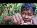 Unlocking Power of Wild Fruits in forest | Wild fruits are a tasty | Ultimate Guide to Wild Fruits