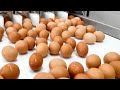 Satisfying Videos 🔴 Modern Food Technology Processing Machines That Are At Another Level 70