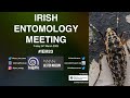 Irish Entomology Meeting 2023 ~ PhD & outreach - Session 4, Part 4 with Hannah Fullerton