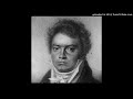 Beethoven - Moonlight Sonata [500% Slower]