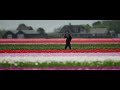 Tulip Fever - Kitesurfing in the Dutch Tulip Fields