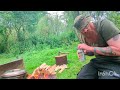 Fly's, heat and blood at candy corner bushcraft.
