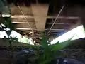 Under  a train