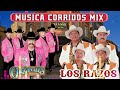 Los Originales De San Juan Vs Los Razos 🔥 Puros Corridos y Puras Rancheras 🔥 Musica Corridos Mix