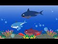 Baby Shark Song with Jack And Jill, Three Blind Mice, Ding Dong Bell, Old King Cole - Fun For Kids
