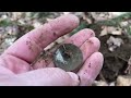 Metal Detecting EARLY US SILVER And Colonial Artifacts NEVER Gets Old! | Minelab Manticore Stef Digs