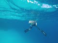 easy 10 metre freedive