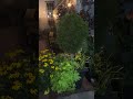 Garden lights part #1