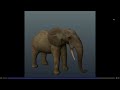roblox mosaic survial/ elephant ears animation sneak peak