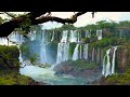 مناضر طبيعي للغابات بدقة 4k || Natural forest scenes in 4k resolution