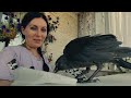 Учу Галку самостоятельно кушать🐦/Во сколько Галка ложится спать, во сколько встаёт 🌅