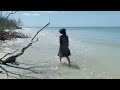 Walking the tide on Caladesi Island