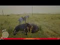 🔴 [Bunny's POV] LIVE : RED DEAD ONLINE