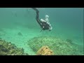 Scuba Diving the Bahamas: Blackbeard's Liveaboard Adventure | The Exuma Cays May 2024