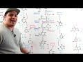Metabolism | Nucleotide Synthesis | Purine & Pyrimidine Synthesis