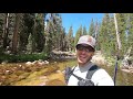 Fishing INCREDIBLE Streams in Yosemite National Park! (Tenkara Fly Fishing)