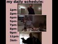 my daily schedule