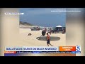 Tourist gored by bull on while visiting beach in Mexico