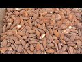 Smoked Almonds - the super simple way (smoker tube)