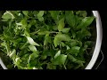 Growing food in your backyard  زراعة البيت