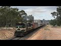 Pacific National Broad Gauge Grain to Piangil and 707 Ops' Ballarat Beer Festival Tour