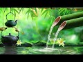 Relaxing Music Relieve Stress and Depression 🌿 Heal the Mind, Deep Sleep