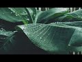 Meditation ASMR. The sound of rain. It makes me feel at ease