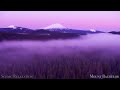 The USA 4K - Scenic Relaxation Film With Calming Music