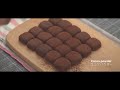 Condensed Milk Chocolate Truffles Easy Recipe [2 Ingredients]